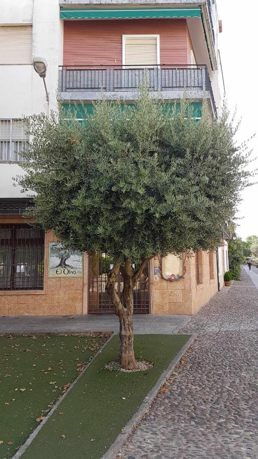 Fantástico apartamento junto a la Judería Córdoba Exterior foto